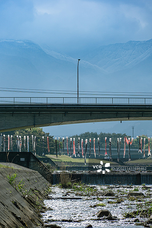 鲤鱼旗 日本 儿童节 学生图片素材