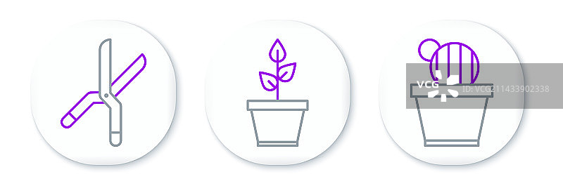 盆栽仙人掌和多肉植物图标图片素材