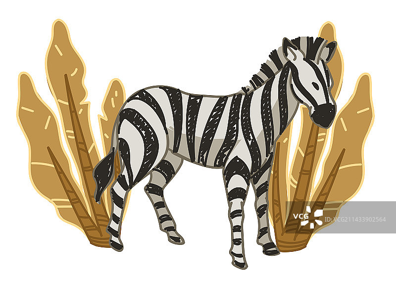 野生动植物：斑马与灌木图片素材