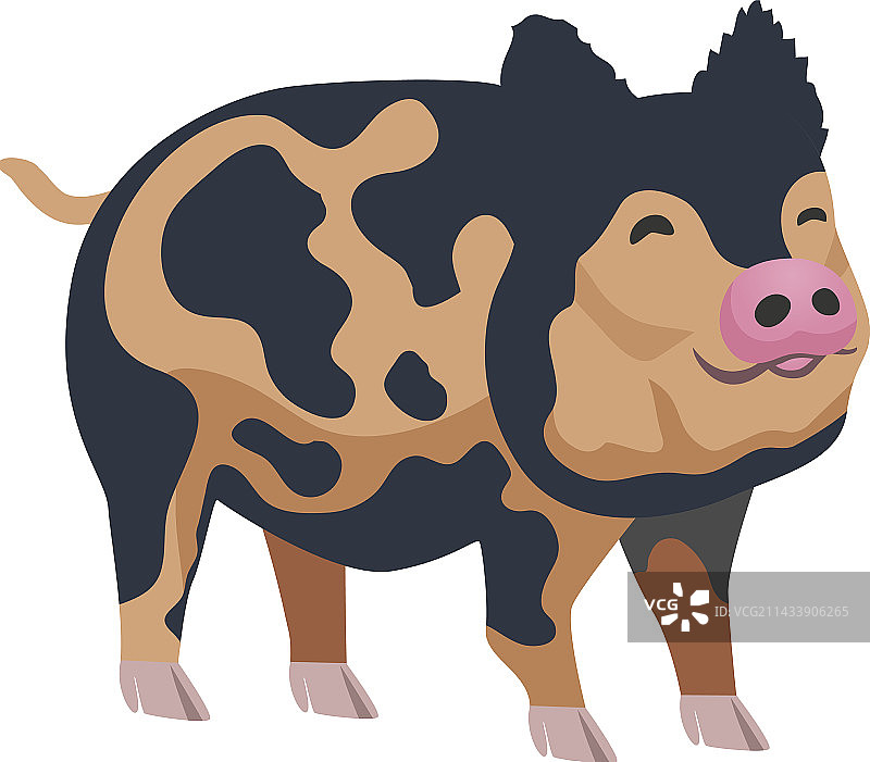 扁平风格的猪图片素材