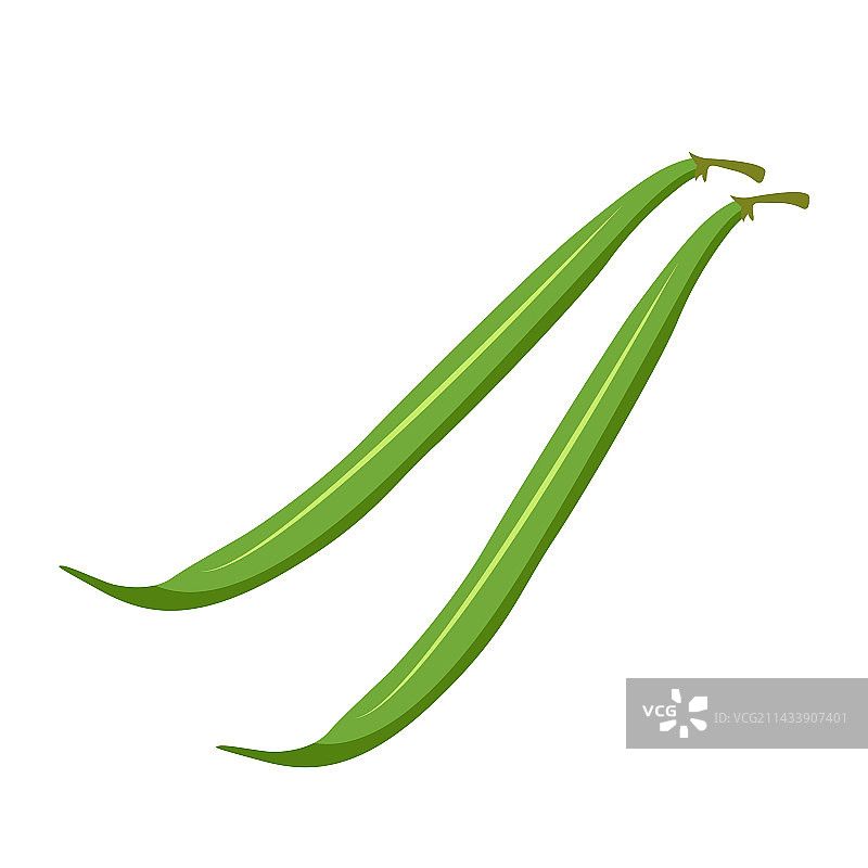 白色背景下的绿豆图片素材