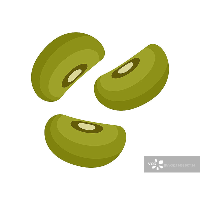 常见的利马豆植物图片素材