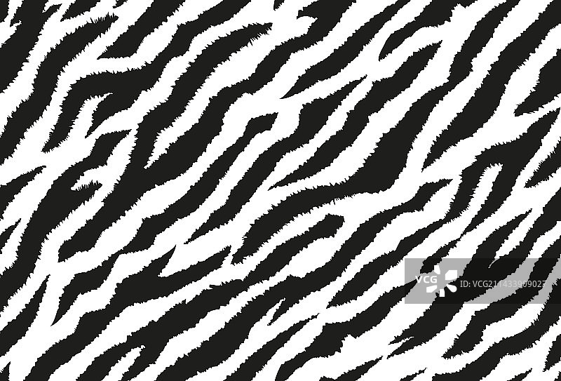 斑马条纹无缝图案图片素材