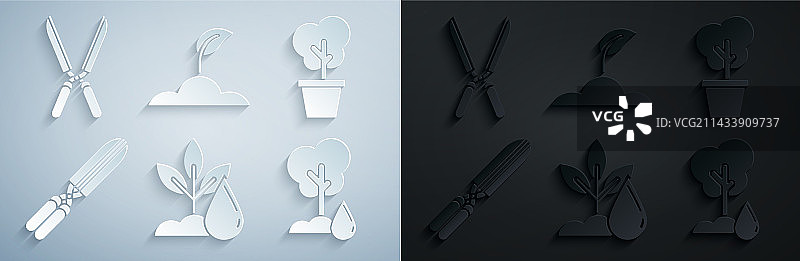 浇水、植物、树木盆栽手工园艺套装图片素材