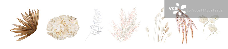 干花叶子绣球花和蒲苇草套装图片素材