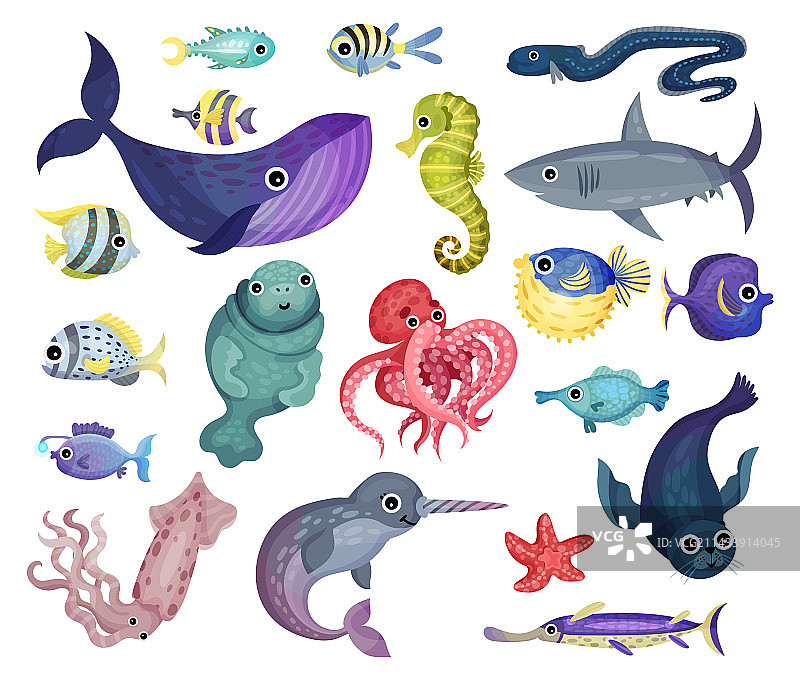 水下世界与漂浮的海洋动物图片素材