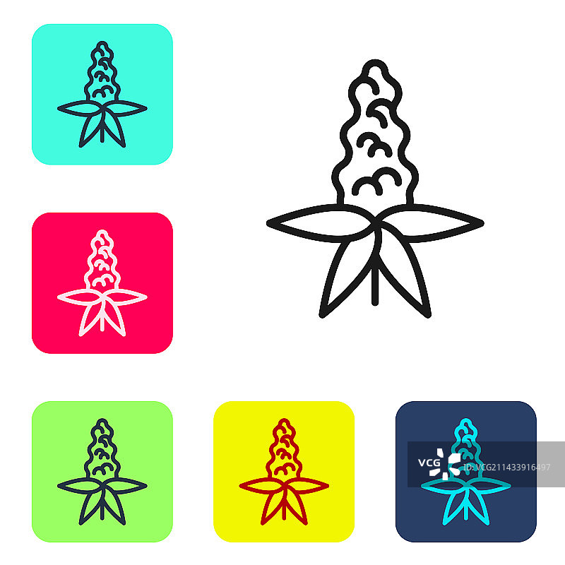 白色背景上的黑线羽扇豆花图标图片素材