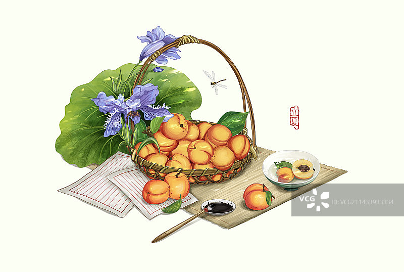 立夏夏天水果杏子图片素材
