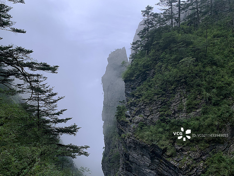 湖北神农架国家地质公园云雾缭绕神秘神农顶石林风景图片素材