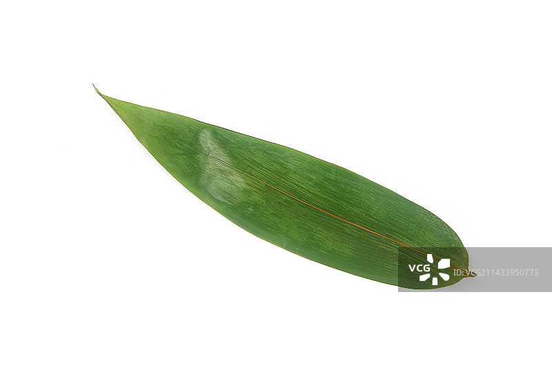 白底上的粽叶图片素材