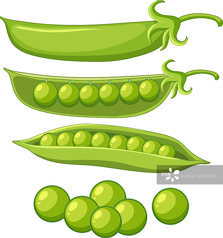 孤立的绿色豌豆卡通图片素材