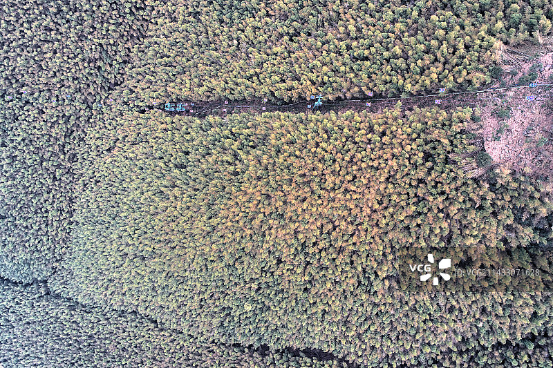 宜兴阳羡图片素材