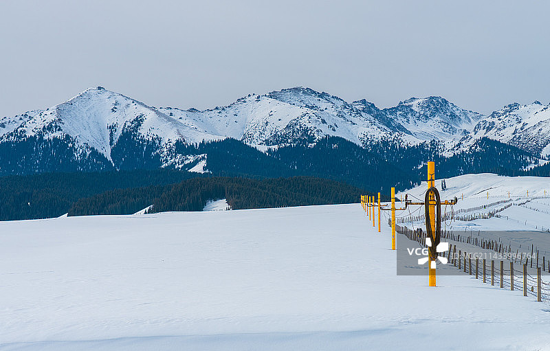 山脉 森林 宁静的风景 户外景色 冬季雪山图片素材