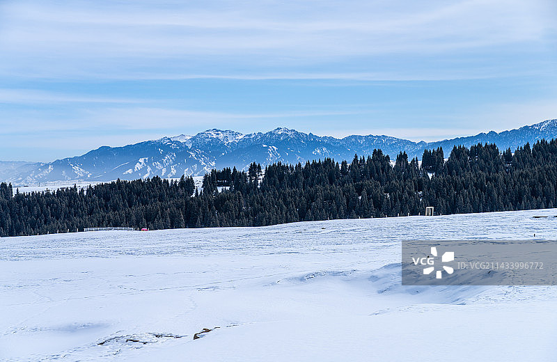 山脉 森林 宁静的风景 户外景色 冬季雪山图片素材