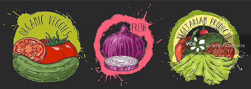 有机蔬菜彩色贴纸套装图片素材