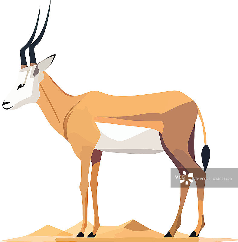 非洲稀树草原上吃草的有角鹿图片素材