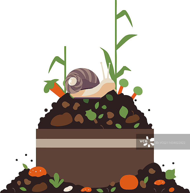 蜗牛与有机堆肥图片素材
