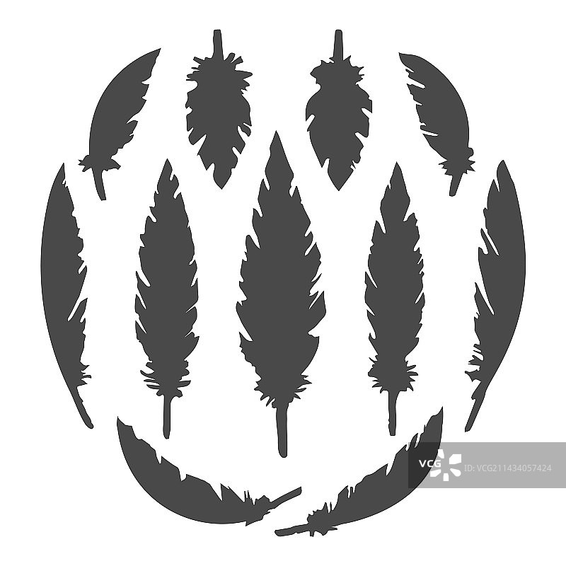 白色背景上的一组黑色羽毛剪影图片素材