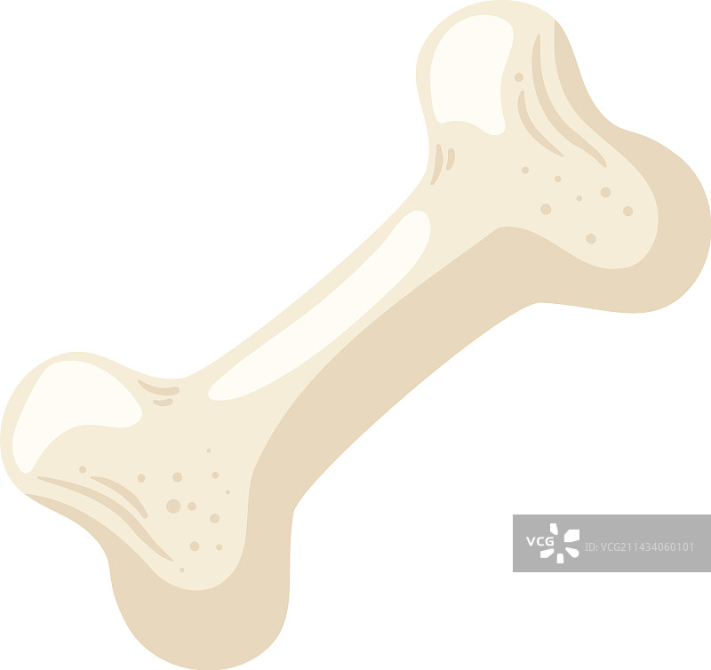 狗狗需要钙质以保持牙齿和骨骼强壮图片素材