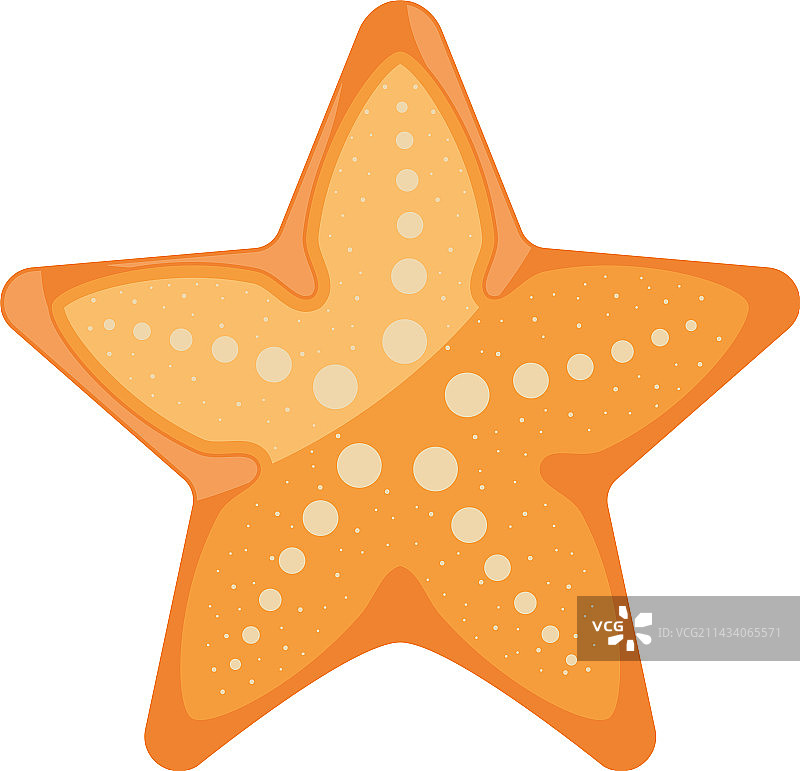 橙色和白色圆点的海星图片素材