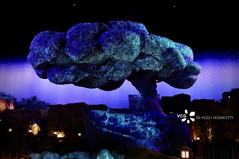 祈愿树图片素材