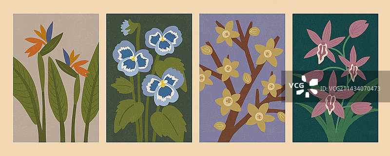 复古花卉集合 鹤望兰三色堇腊梅与墨兰花图片素材