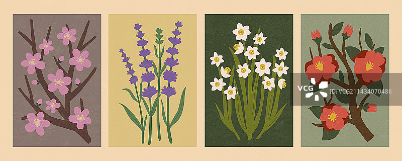 复古花卉集合 水仙花薰衣草梅花与山茶花图片素材