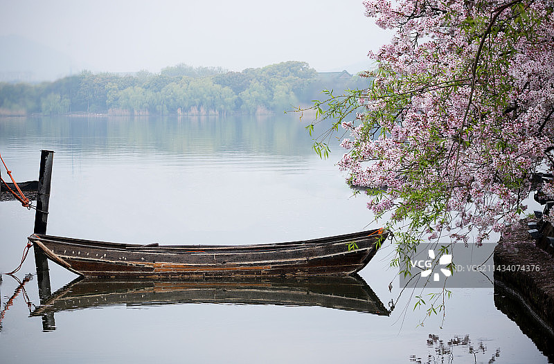 鼋头渚的春天图片素材