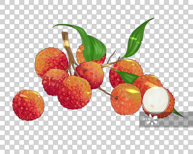 夏天的荔枝图片素材