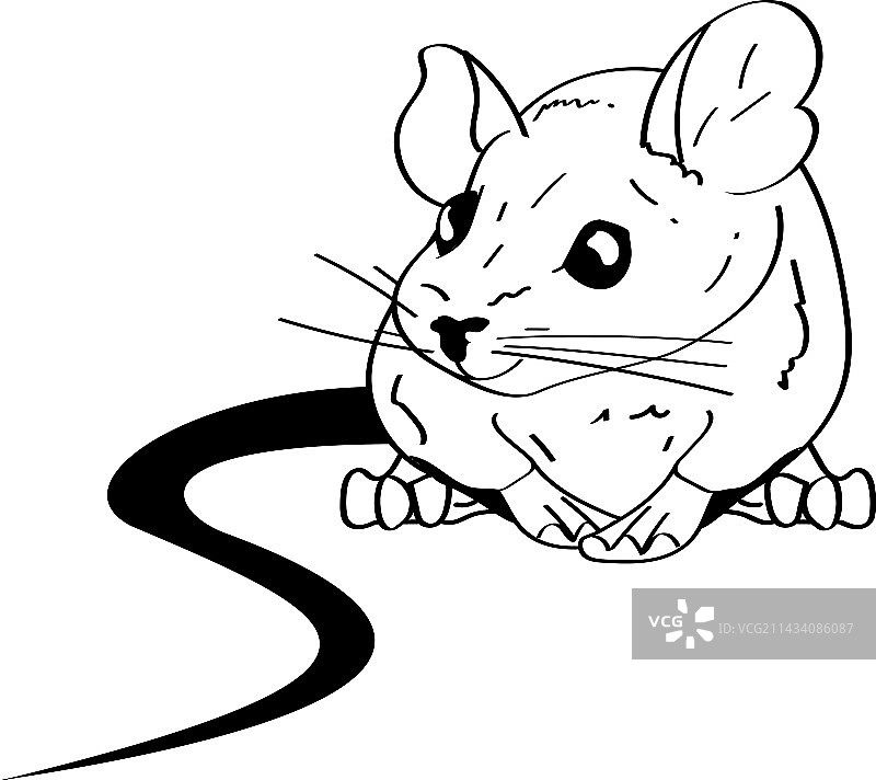 单色风格小鼠动物图片素材