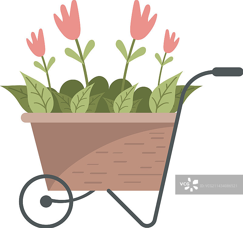 手推车里的花园花卉图片素材