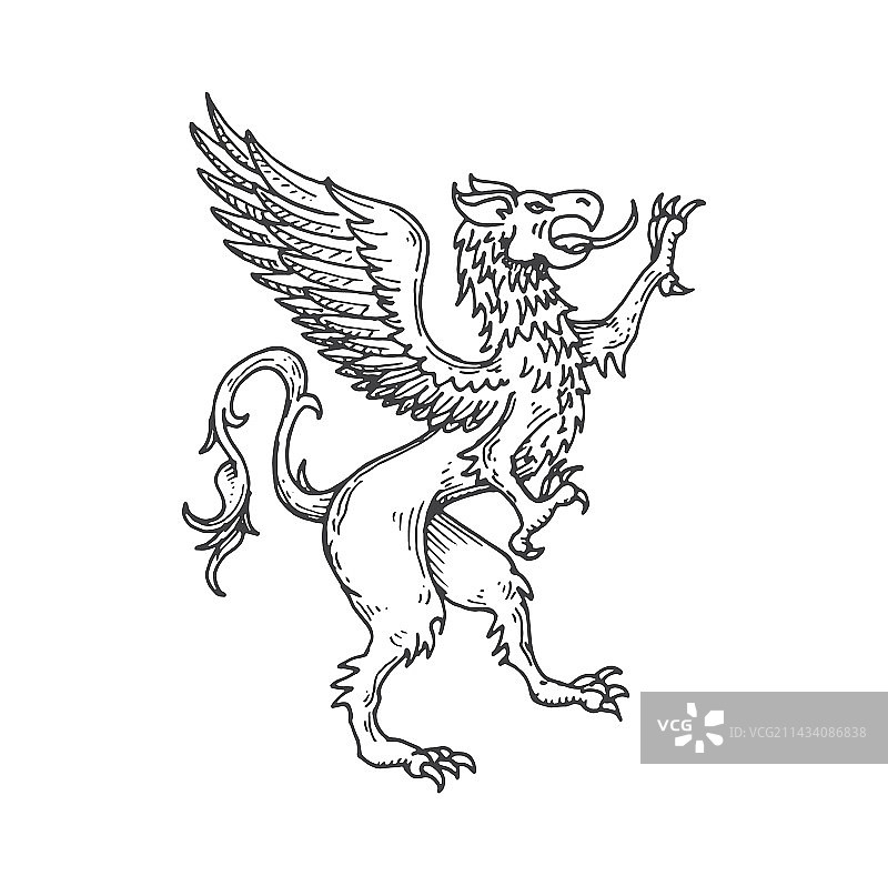 狮鹫中世纪纹章动物草图图片素材