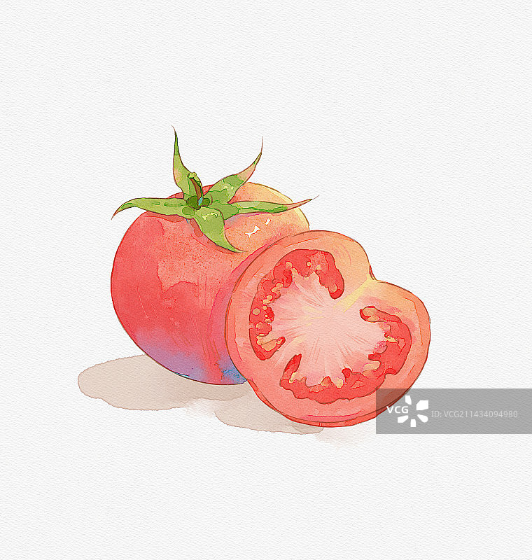 水彩西红柿素材图片素材