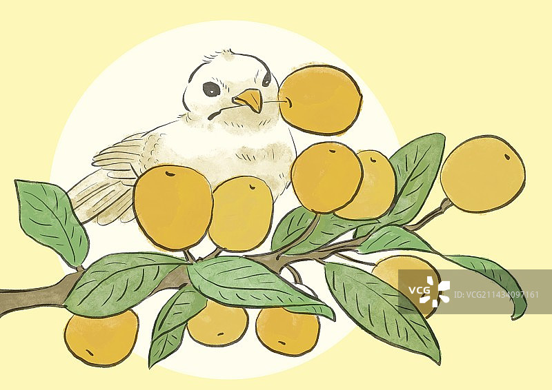 小鸟与果实图片素材