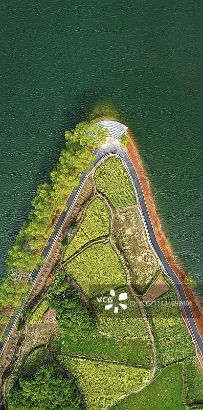 桂花岛的春天图片素材