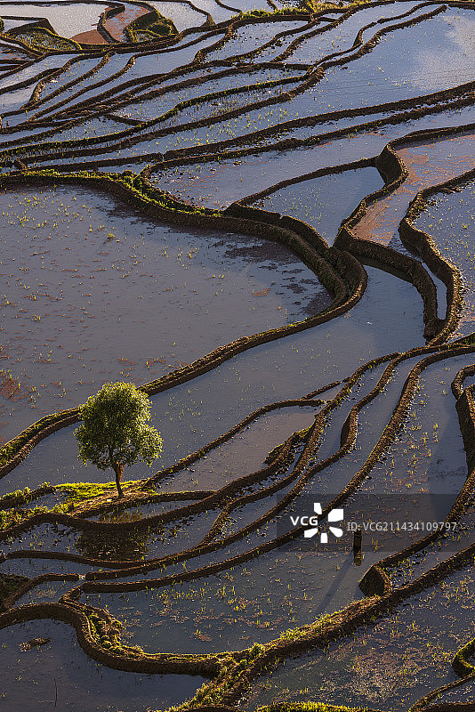 哈尼梯田图片素材