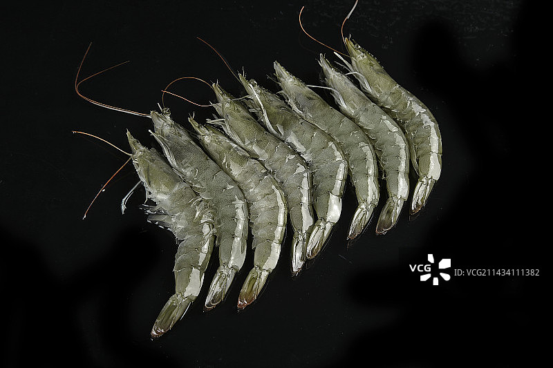 黑底上摆放着大青虾图片素材