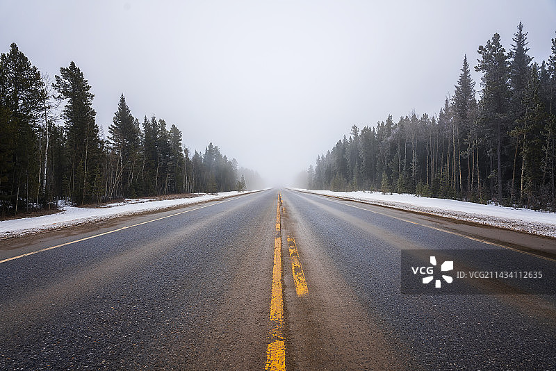 雪天新疆阿勒泰道路，路两旁是针叶树林图片素材
