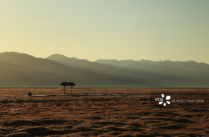 金草滩的清晨图片素材