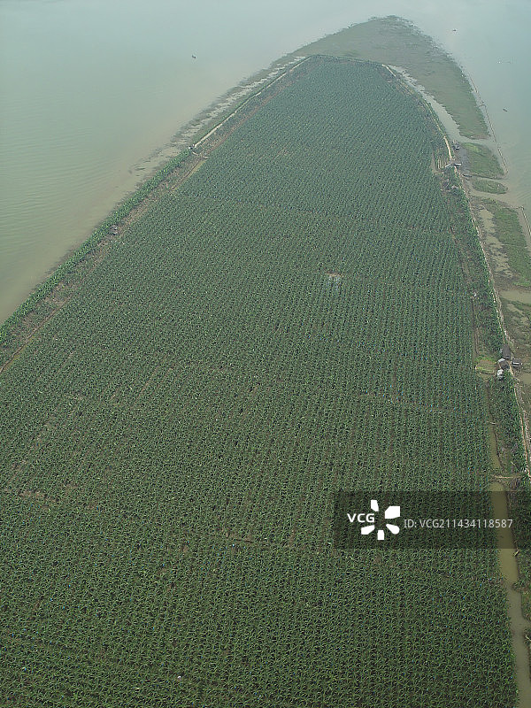 航拍，南沙区，大开发前夕的原生态自然与人文景观，自贸区，粤港澳大湾区图片素材