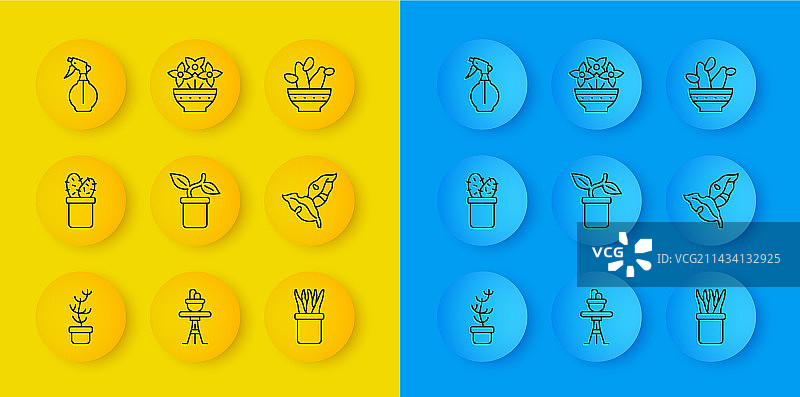 盆栽热带植物仙人掌图片素材