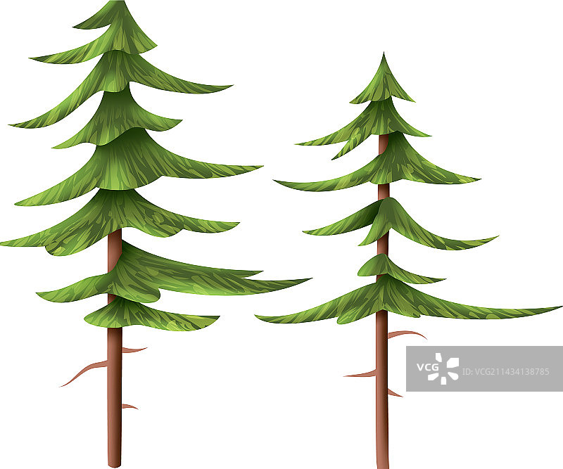 写实松树图片素材