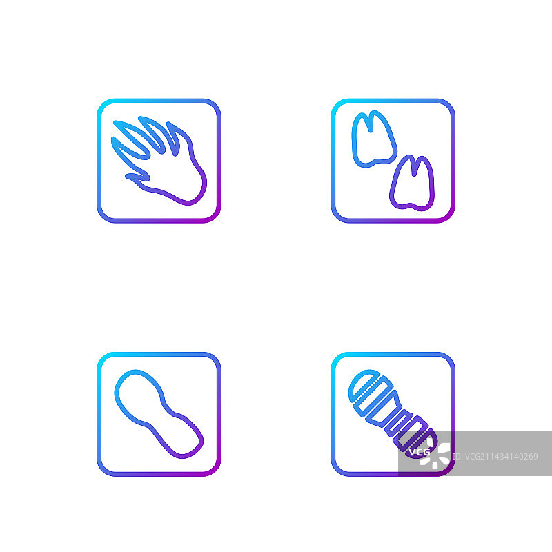 人类脚印鞋子鳄鱼线性图标图片素材