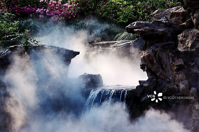 上海植物园雾景小溪图片素材