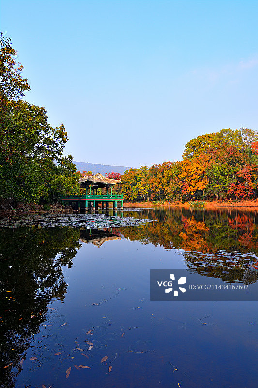 钟山风景区流徽榭秋色图片素材
