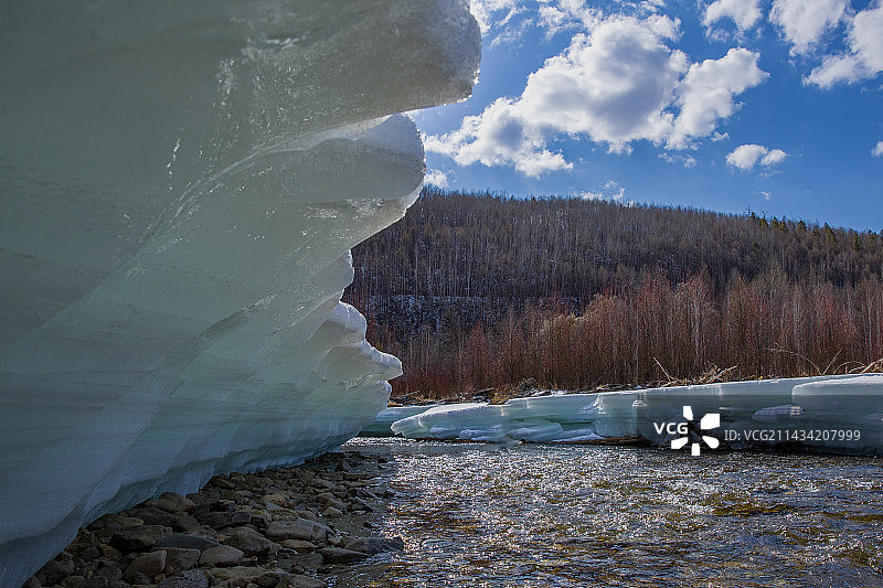 大兴安岭呼中——冰河红柳图片素材