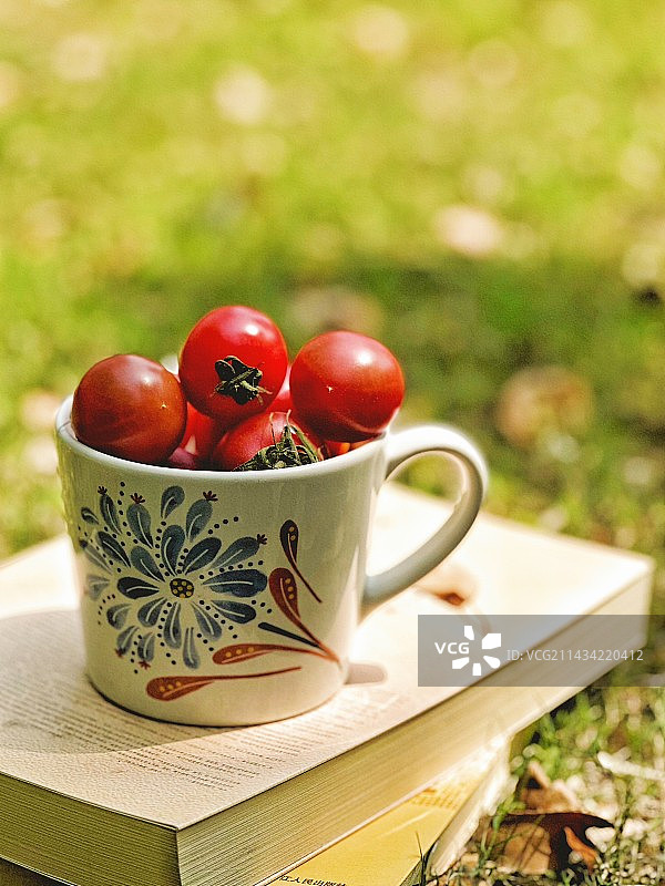 春日里的油桃更诱人图片素材