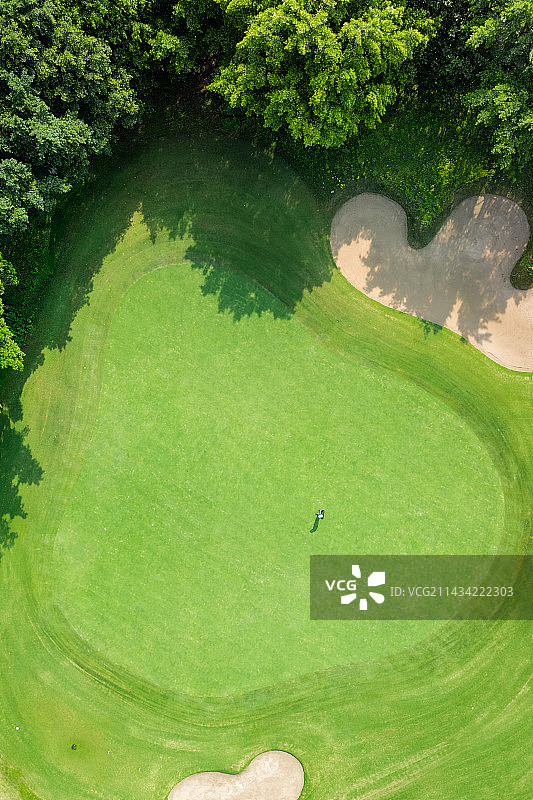 高尔夫球场果岭图片素材