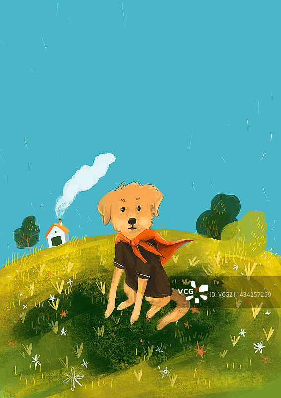 草地上的小黄狗图片素材