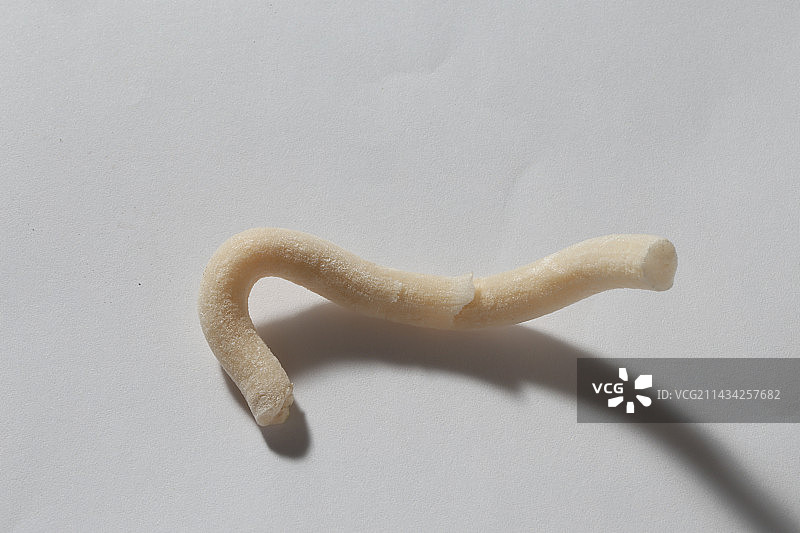 400种中药通草特写白底图图片素材